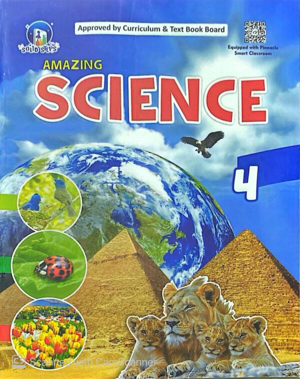 Pinnacle Science 4